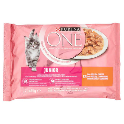 Purina One Jun.Pollo Gr 340