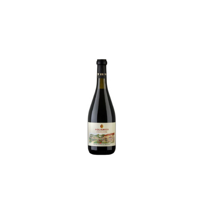 Cantina Sociale Aglianico Frizzante Cl 75