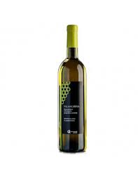 VINICOLA DEL SANNIO FALANGHINA IGP CL.25 Falanghina Beneventano Cl 25